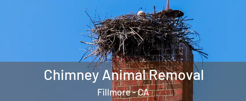 Chimney Animal Removal Fillmore - CA
