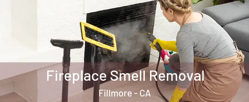  Fireplace Smell Removal Fillmore - CA